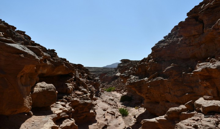 Argelia: El Tadrart