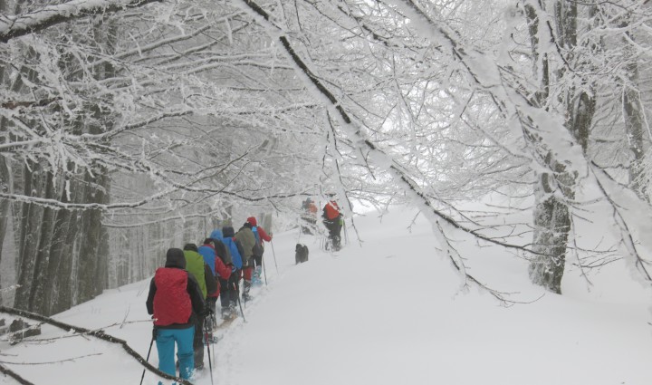 Finlandia. La travesía Lememnjokki con raquetas 8 Días