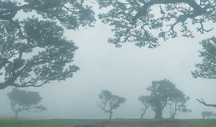Fotográfico a Madeira