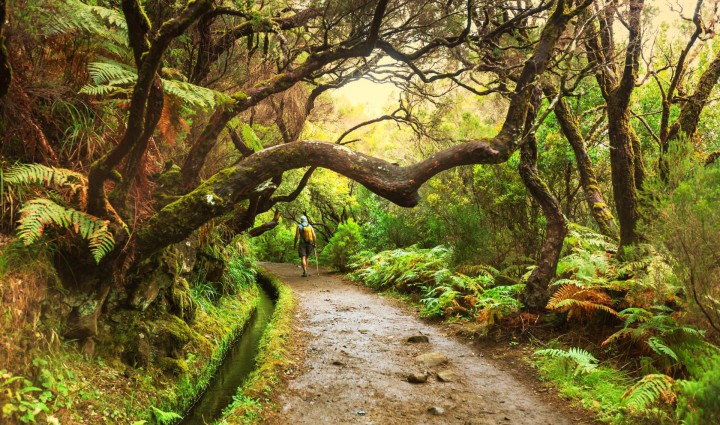 Madeira Incógnita en junio