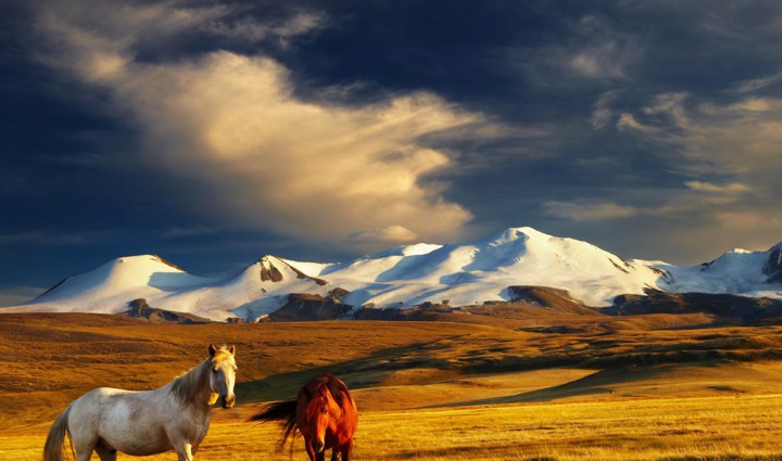 Mongolia