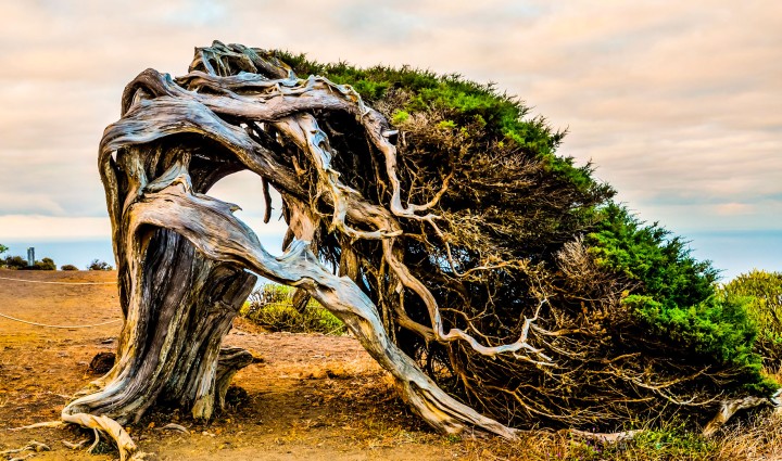 Ruta Naturalista por El Hierro en febrero